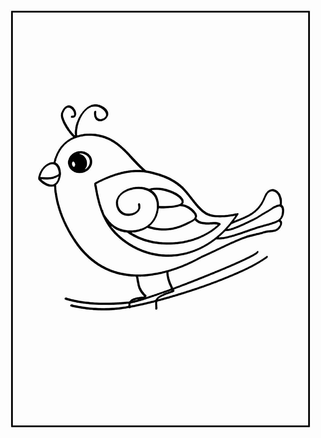 Aves Para Colorear 012