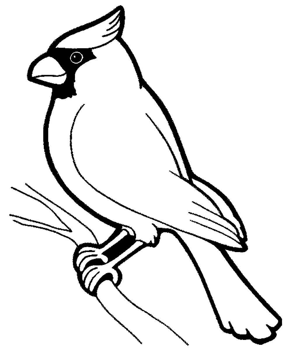 Aves Para Colorear 040