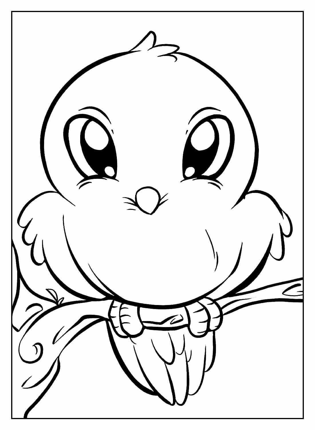 Aves Para Colorear 052