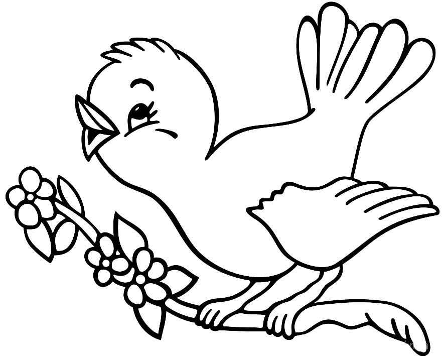 Aves Para Colorear 064