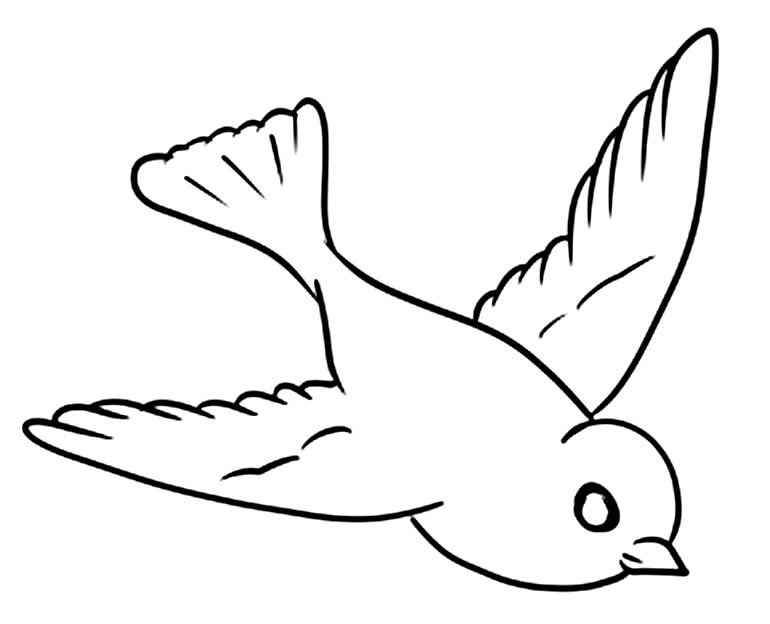 Aves Para Colorear 093