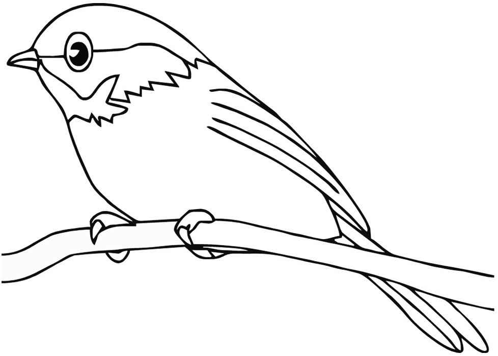 Aves Para Colorear 102