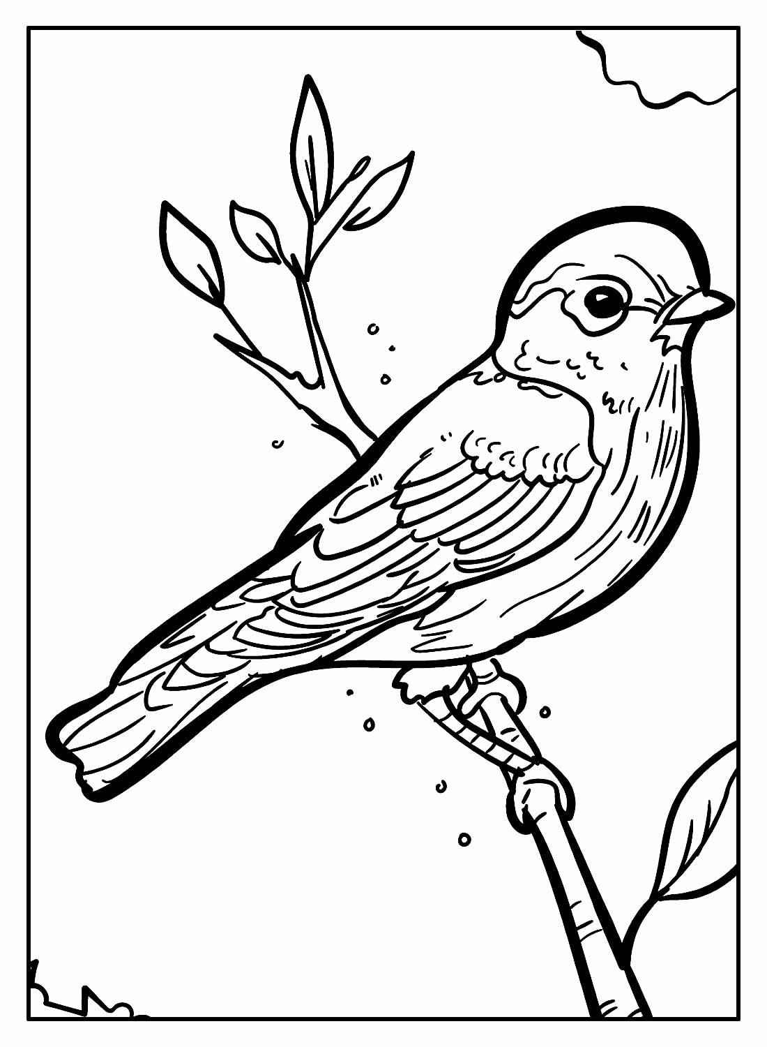 Aves Para Colorear 129