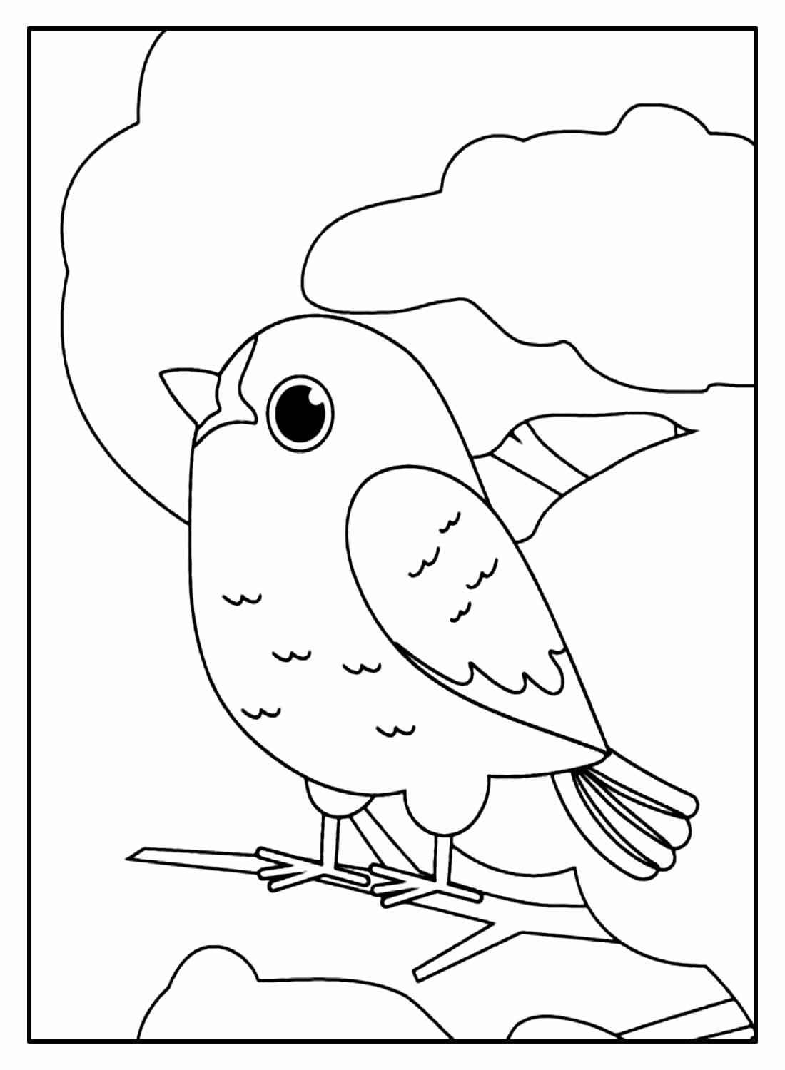 Aves Para Colorear 134