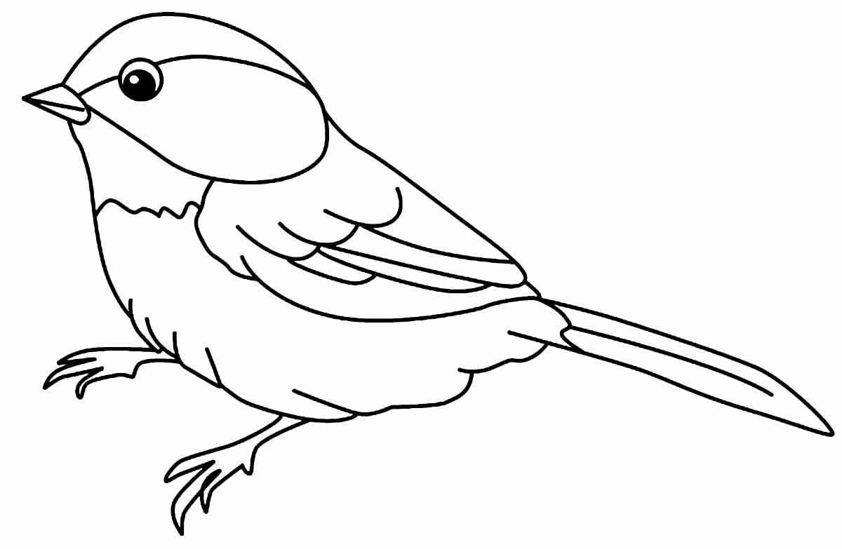 Aves Para Colorear 223
