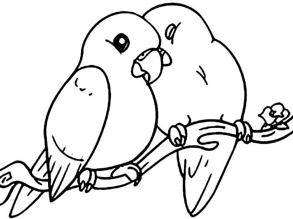 Aves Para Colorear 245