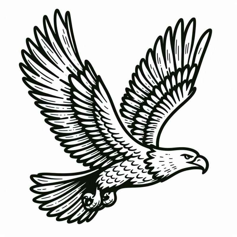 Aves Para Colorear 252