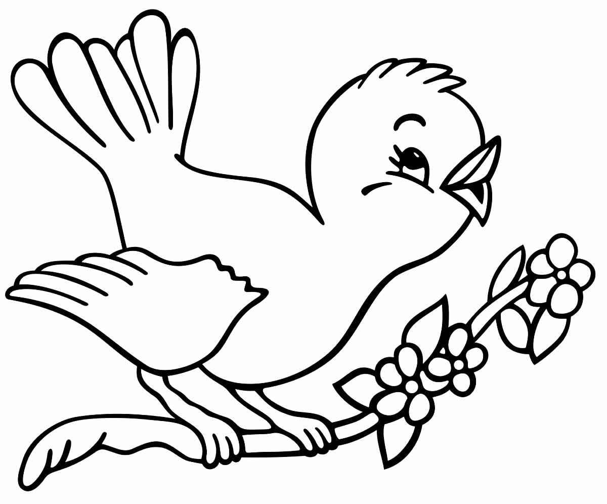 Aves Para Colorear 289