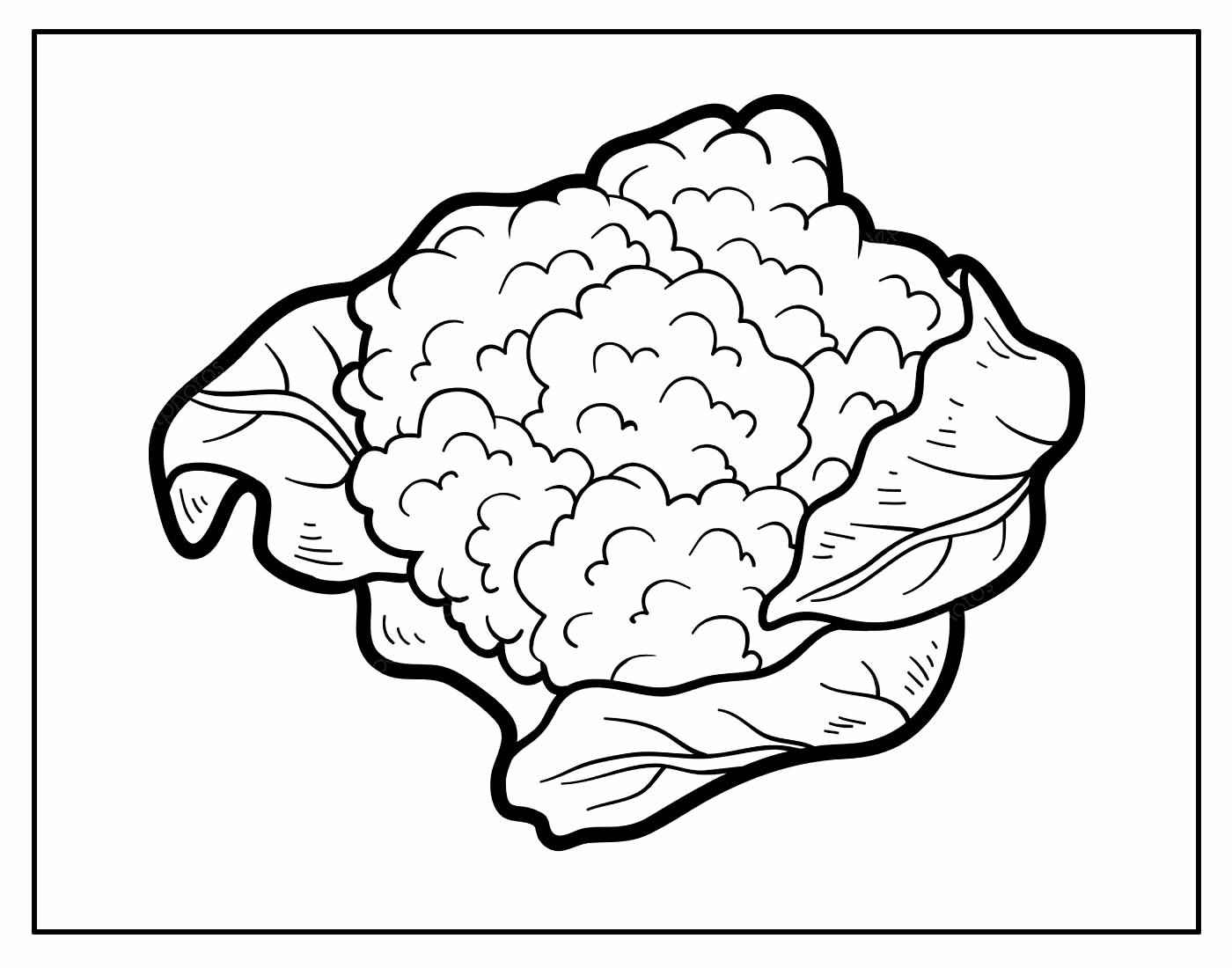 Comida Para Colorear 017