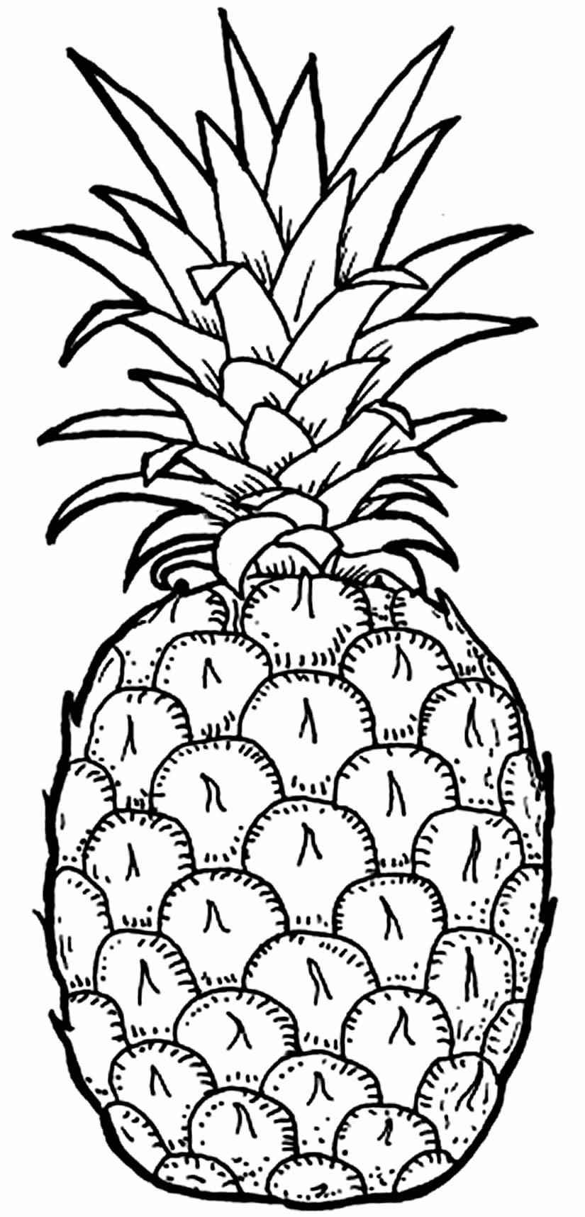 Comida Para Colorear 105