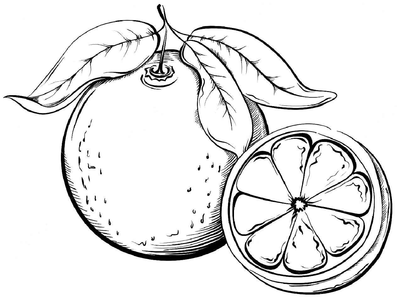 Comida Para Colorear 265