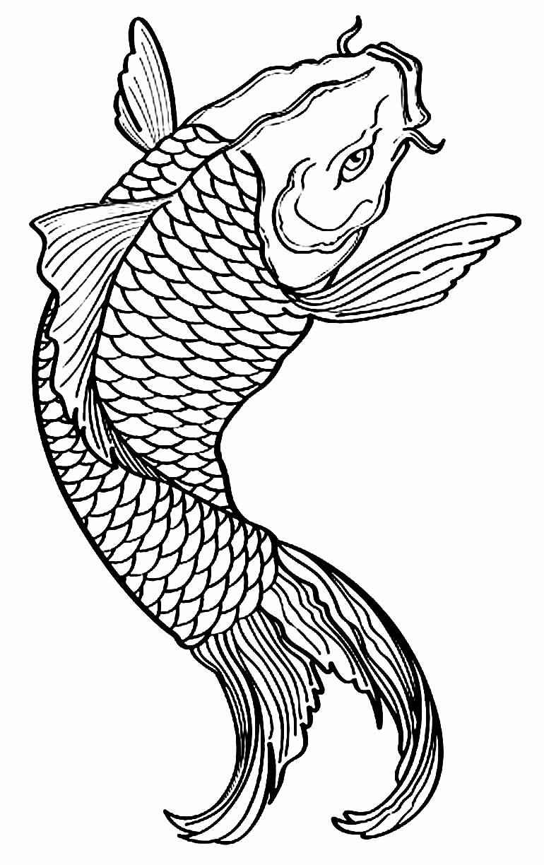 Pez Para Colorear 078