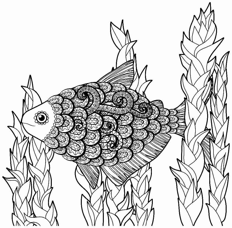 Pez Para Colorear 115