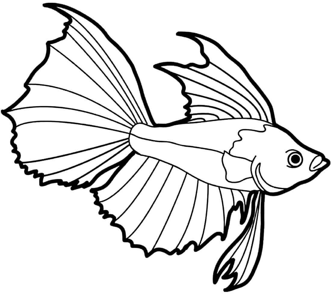 Pez Para Colorear 130