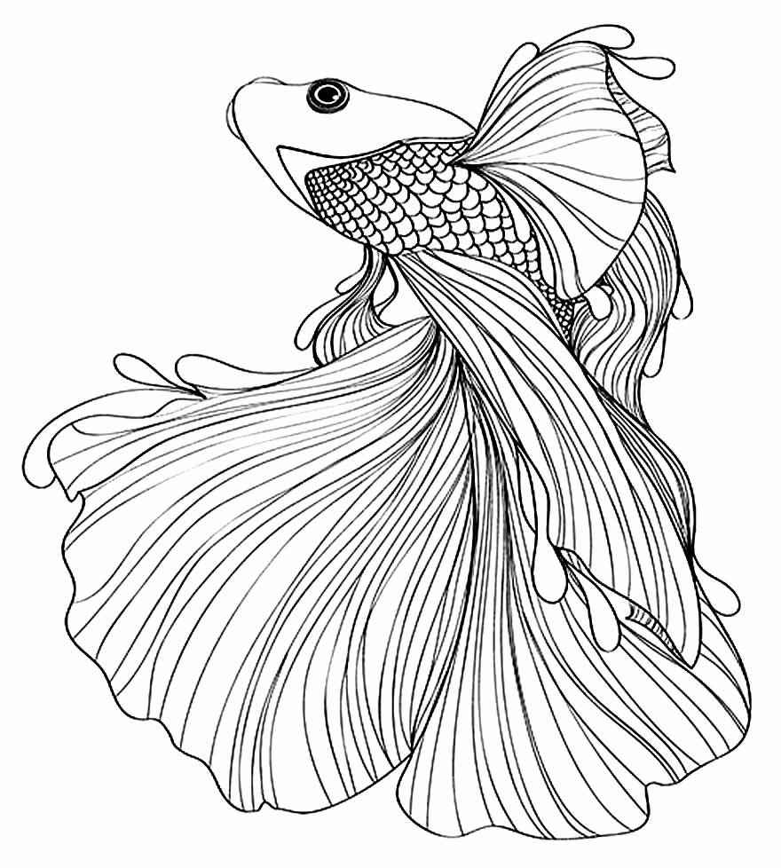 Pez Para Colorear 155