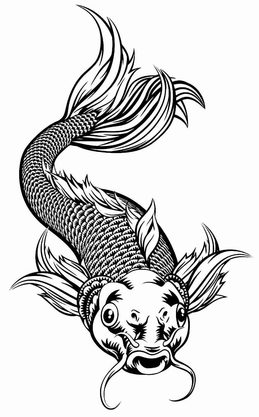 Pez Para Colorear 191