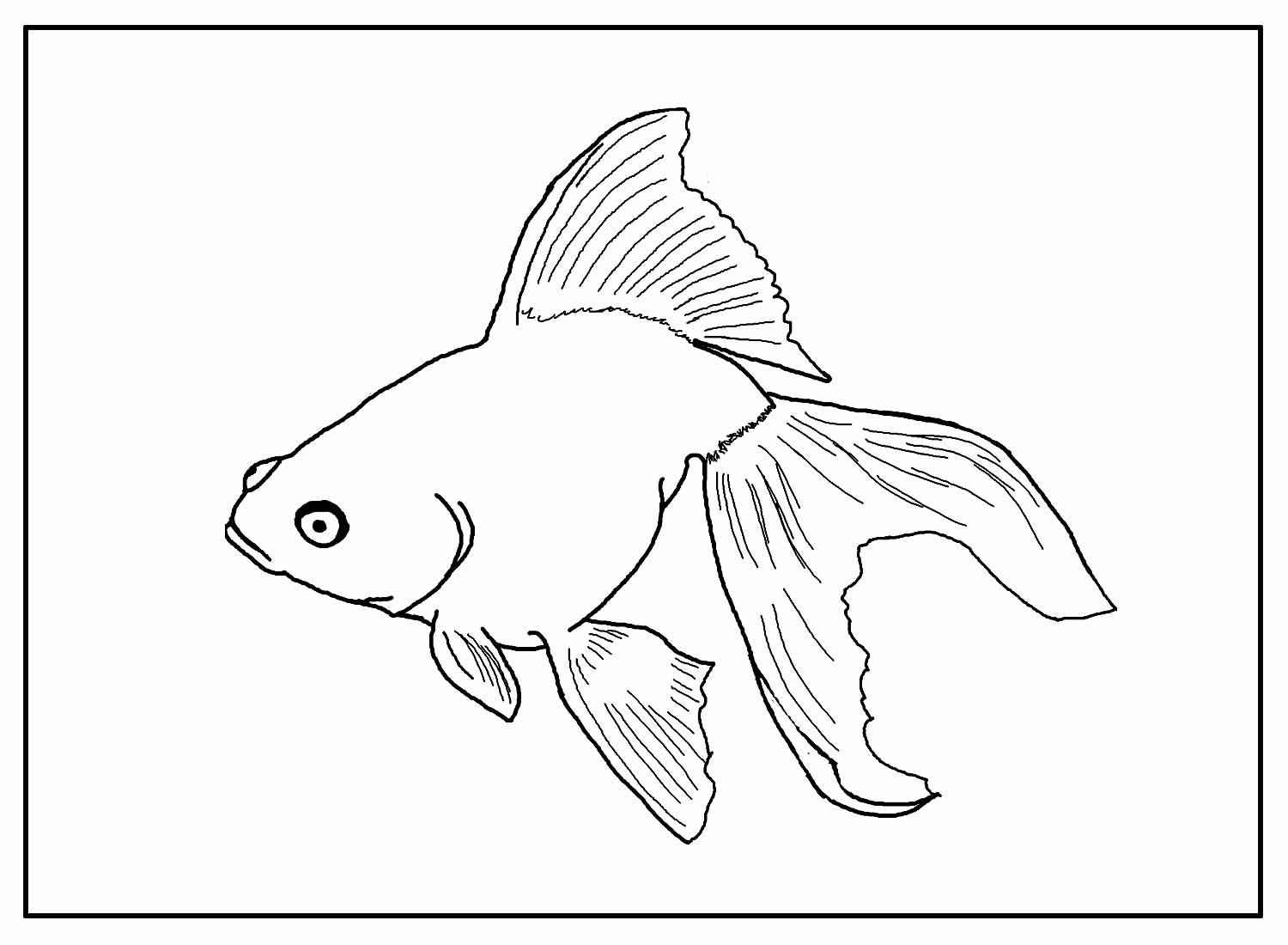 Pez Para Colorear 198