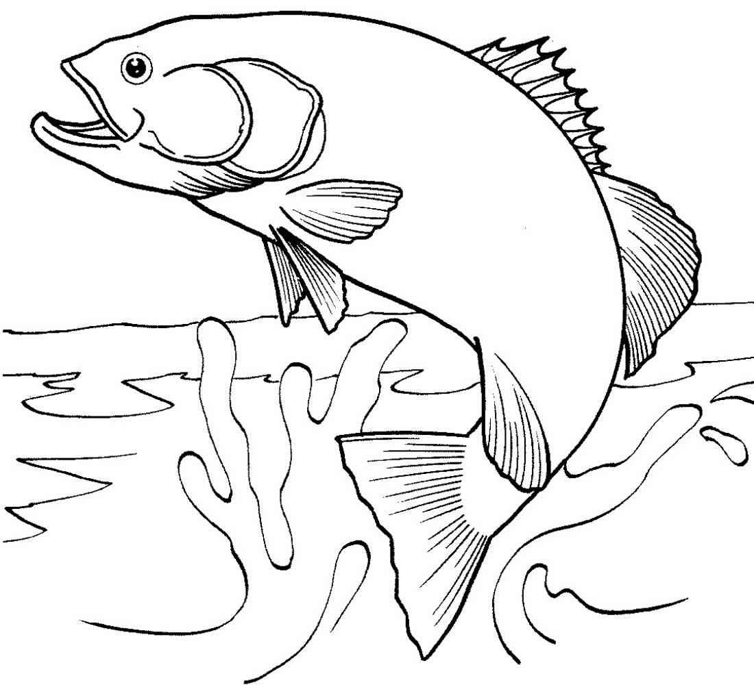 Pez Para Colorear 221