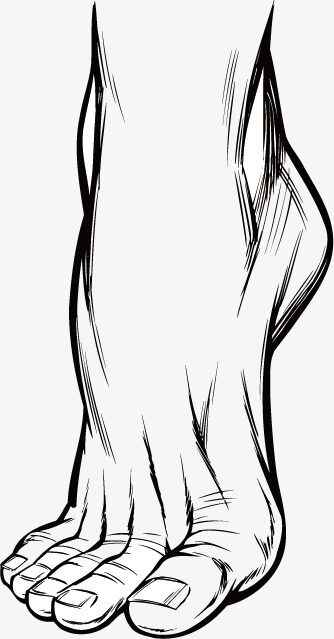 Pie Para Colorear 069