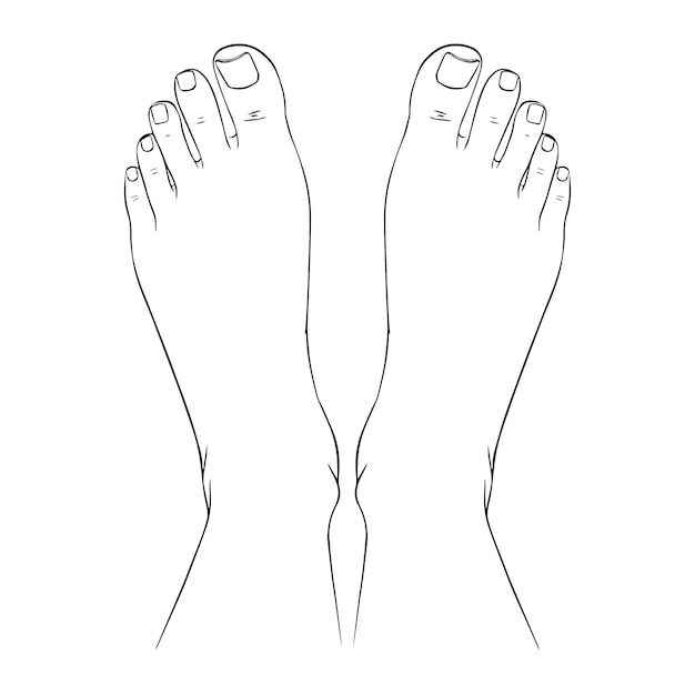 Pie Para Colorear 203